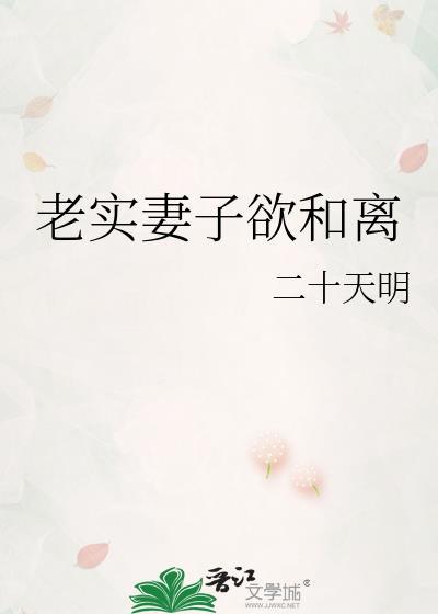 老实妻子欲和离作者二十天明
