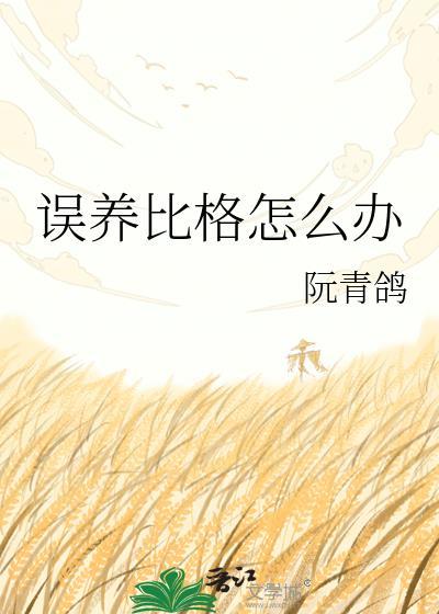 比格饲养指南
