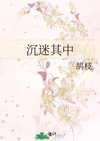 沉迷其中的冒险家np全文免费阅读最新