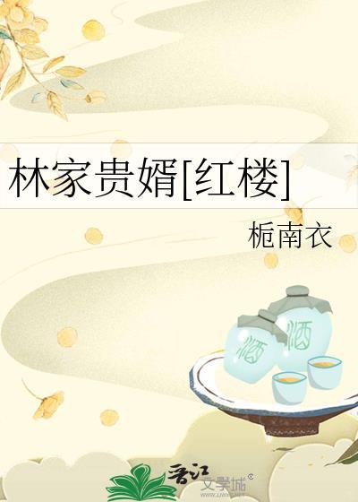 林家赘婿什么