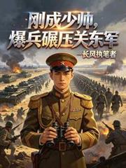 民国少帅全文阅读