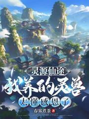 灵源仙途我养的灵兽太懂感恩了地图