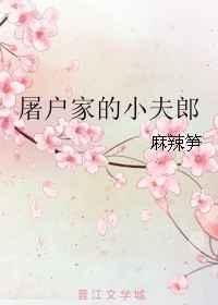 屠户家小夫郎合集
