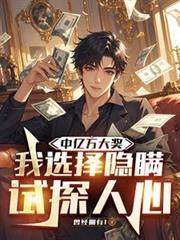 我选择隐瞒试探人心共多少章