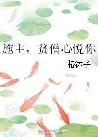 贫僧心悦你52章