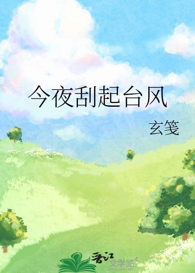 今夜刮起台风txt玄笺盘