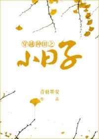 穿越种田文高质量推荐