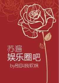 苏遍全娱乐圈免费阅读