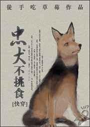 忠犬不挑食[快穿