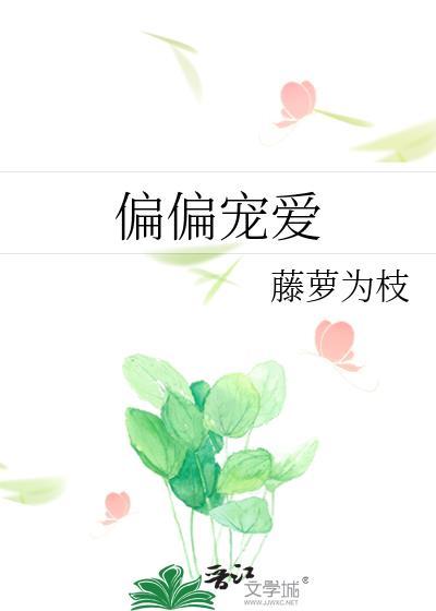 偏偏宠爱全文免费阅读在线阅读