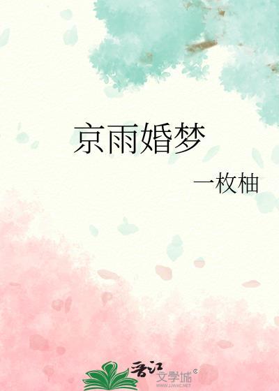 京雨婚梦全本txt