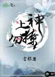 上神勿撩言祁全文阅读