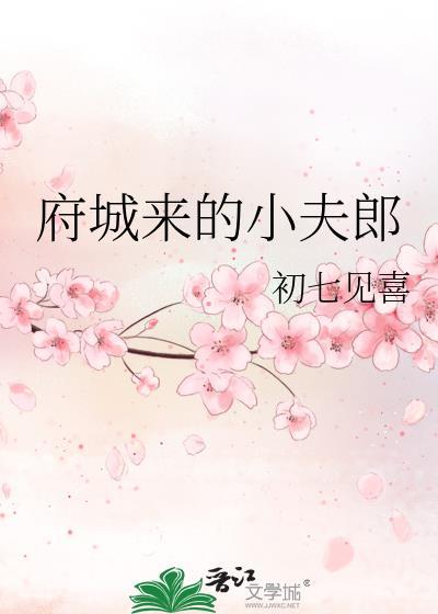 府城来的小夫郎by初七见喜百度