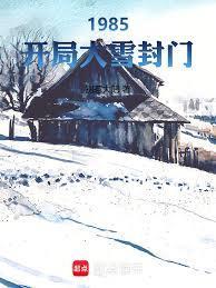1985开局大雪封门免费无错完整版