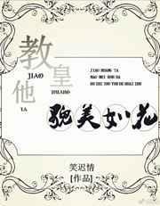 教皇是干什么的