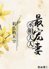 丞相大人忙追妻