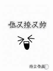 他又撩又帅txt