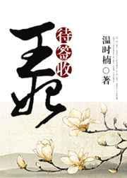 王妃侍卫的