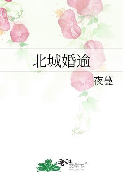 北城全文免费阅读