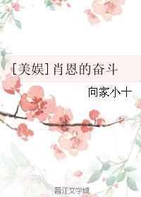 美娱肖恩的奋斗