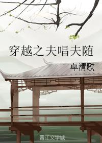 穿越之夫唱夫随阅读