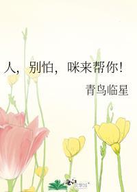 猫语别怕过来吧