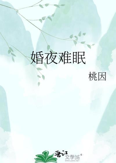 婚夜难眠晋江