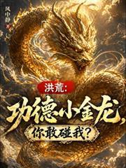 洪荒功德小金龙全集