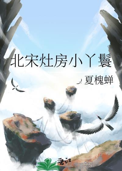 北宋灶房小丫鬟全文免费阅读
