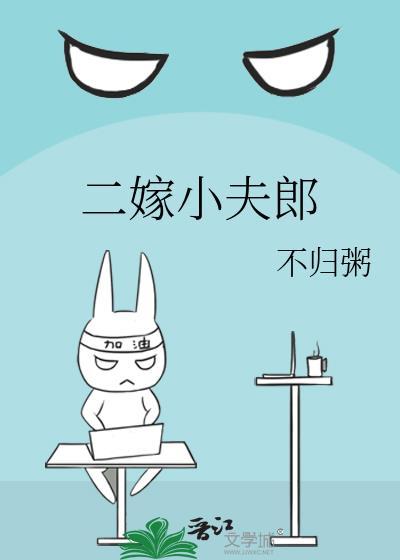 二嫁小夫郎讲的什么