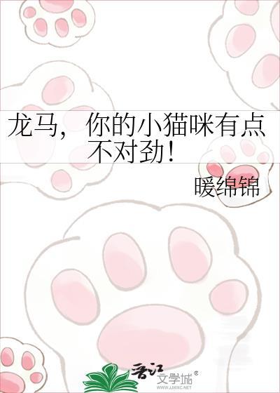 龙马的猫是什么品种