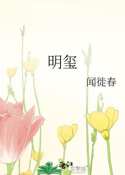 明玺公司