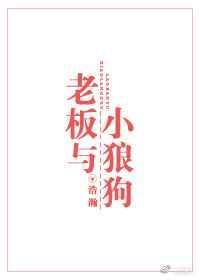 老板与小狼狗晋江