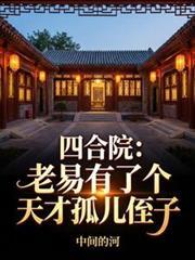 老四合院图