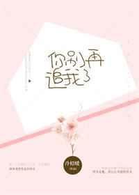 你别再追我啦