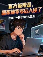 国家被零零后入侵了TXT