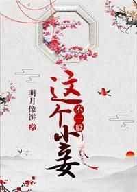 这个小妾不一般txt