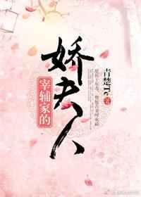 宰辅夫人的荣宠之路txt