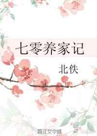 七零养家记大结局是什么