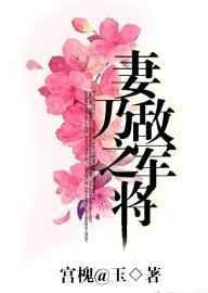 妻乃敌军之将全文阅读