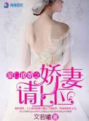 豪门暖婚之娇妻请负责全文免费阅读