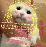 官方吉祥物综英美txt