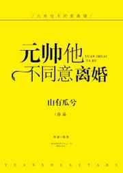 元帅他不同意离婚txt