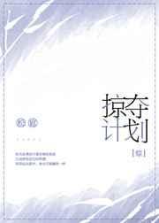 掠夺上限机制规则说明