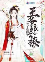 天下为聘王爷又来提亲了