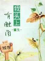 头上长触角的角色介绍