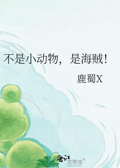 是海贼的动画片