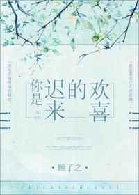 你是迟来的欢喜未删减