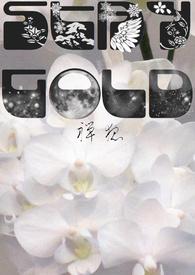 鸣鸟不飞Dont stay gold