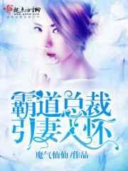 霸道总裁引妻入怀免费阅读